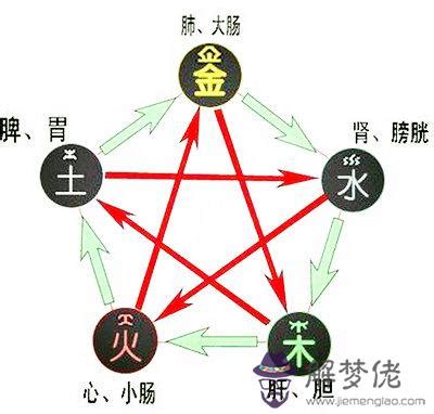 東方星座五行屬性查詢|生辰八字查詢，生辰八字五行查詢，五行屬性查詢